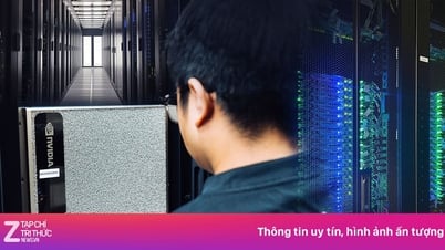Zalo và hành trình vượt chông gai để chinh phục khát vọng nội địa