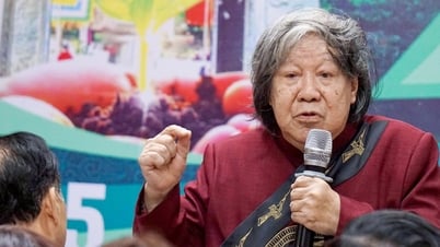 'Returning Footsteps' អំពាវនាវ​ឱ្យ​ជន​ជាតិ​វៀតណាម​នៅ​ក្រៅ​ប្រទេស​ប្រមូល​ថវិកា​ដាំ​ព្រៃឈើ រួម​ចំណែក​អភិវឌ្ឍន៍​ប្រទេស
