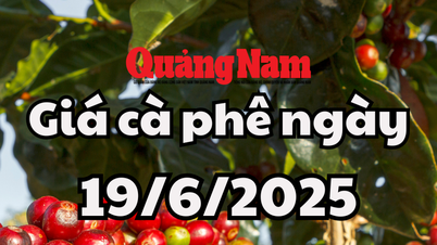 Tin tức, dự báo giá cà phê ngày mai 19/6/2025 chưa có dấu hiệu dừng lại