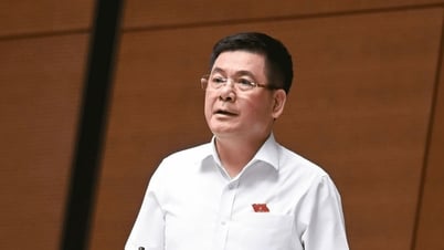 'Siết' hàng giả trên môi trường số, Bộ Công Thương sẽ phân cấp, phân quyền cho địa phương quản lý giao dịch thương mại điện tử