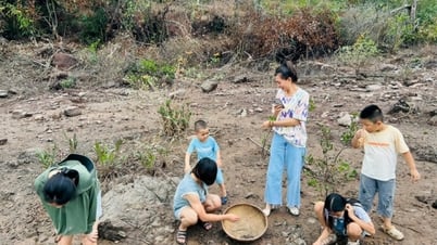 Promoting eco-tourism and experience models in Van Don