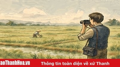 Die „Produktvertragsbewegung“ in Trieu Son in den 1980er Jahren: Eine denkwürdige Zeit