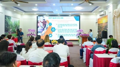 Nghệ An triển khai dự án hỗ trợ trẻ em có hoàn cảnh đặc biệt, nạn nhân mua bán người