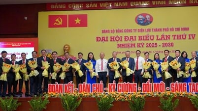 អគ្គិសនី​ទីក្រុង​ហូជីមិញ​ខិតខំ​ក្លាយ​ជា​សហគ្រាស​ឌីជីថល​ដែល​ស្មើ​នឹង​តំបន់