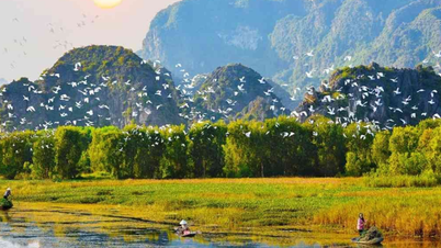 Du lịch Thung Nham Ninh Bình: Khám phá vườn chim nổi tiếng đất Cố đô