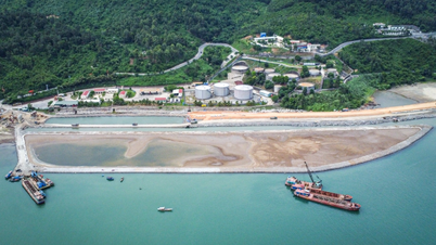 Thành lập Khu thương mại tự do Đà Nẵng