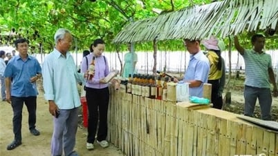 Ngành du lịch bước vào mùa cao điểm