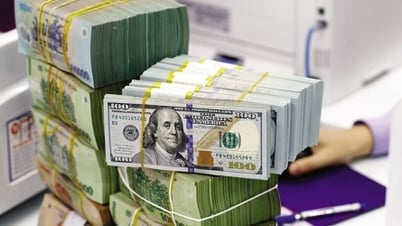 Tỷ giá được kỳ vọng giảm dần về cuối năm