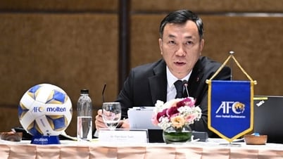 VFF会長：「ダン・トリ新聞はベトナムサッカーの信頼できる仲間です」