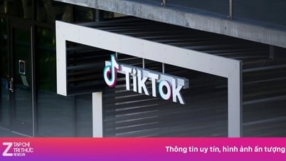 トランプ大統領、再びTikTokを「救った」