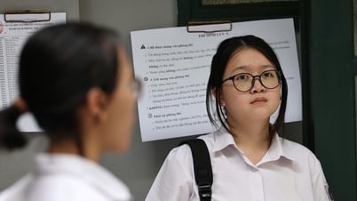Exam scores and admission scores for grade 10 in Hai Duong province in 2025