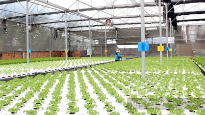 TP Hồ Chí Minh đẩy mạnh liên kết vùng qua Tuần lễ Nông nghiệp Công nghệ cao