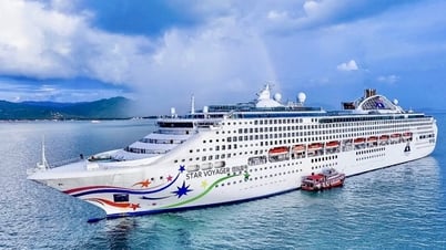 Hành trình 5 ngày 4 đêm trên du thuyền quốc tế từ TP.HCM đến Singapore