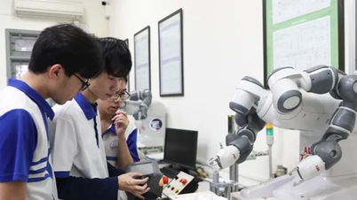 16 Vietnamese universities listed in international rankings in 2025