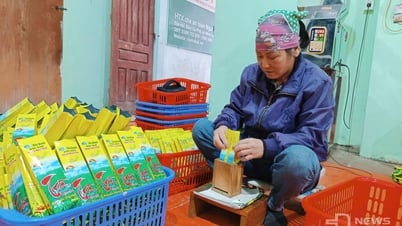 Dong Hy : Augmentation de 37 coopératives opérant dans le secteur agricole