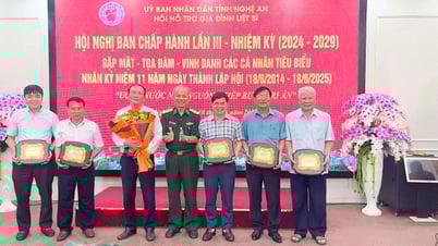 Hội Hỗ trợ gia đình liệt sĩ tỉnh Nghệ An kỷ niệm 11 năm thành lập