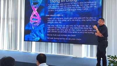 TP Hồ Chí Minh hướng đến hệ sinh thái công nghệ năng lượng tái tạo xanh