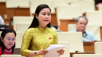 Proposal to introduce digital skills education and high-tech fraud prevention into schools