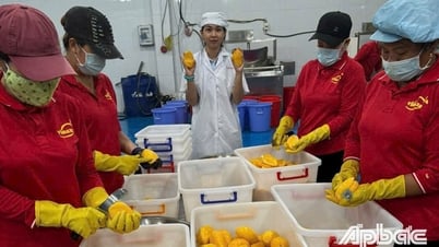 Giỏi phát triển kinh tế, khéo vun vén gia đình