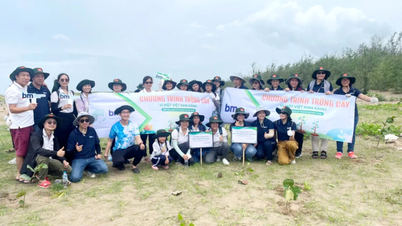 ទេសចរណ៍បទពិសោធន៍ទាក់ទងនឹងការដាំព្រៃឈើតាមឆ្នេរសមុទ្រ