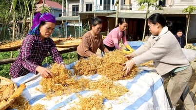 Na Hang фокусируется на создании местных фирменных продуктов