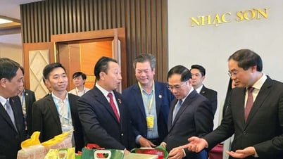 Teil 1: Lao Cai Privatwirtschaft – Neue treibende Kraft für nachhaltiges Wachstum