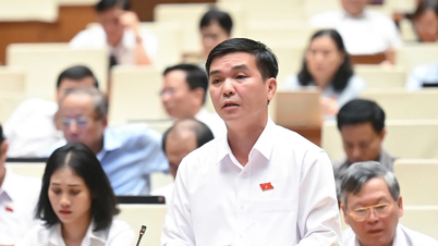 ĐBQH tỉnh Bắc Kạn kiến nghị giải pháp thực hiện hiệu quả sắp xếp tổ chức bộ máy