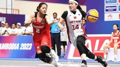 베트남 스포츠, 동남아 게임 33에서 많은 도전에 직면