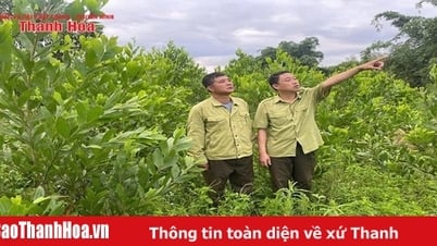 Trạm trưởng 20 năm thầm lặng giữ rừng