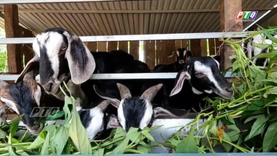 A fulcrum to support farmers in economic development