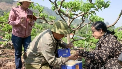 31,900人以上の農民が技術研修を受けた