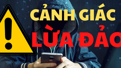 Bị lừa đảo hơn 434 tỉ đồng, nữ chủ doanh nghiệp tố giác gì đến công an?