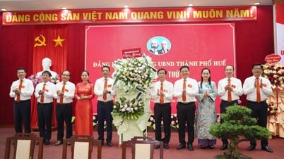 លើកកំពស់តួនាទីប្រឹក្សាយុទ្ធសាស្ត្រ លើកកំពស់គុណភាពការងារ