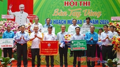 Cao su Lộc Ninh: Vượt thách thức, đón cơ hội