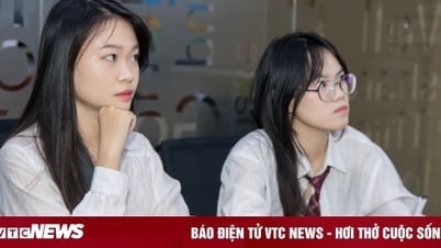 Tranh cãi học sinh giỏi ở trường thường không bằng học kém trường top