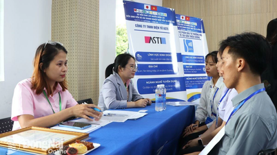 សហគ្រាសជប៉ុនជាង២០បានផ្លាស់ប្តូរ និងស្វែងរកធនធានមនុស្សនៅទីក្រុង Dong Nai
