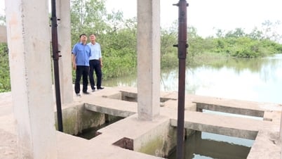 Chủ động tu bổ hệ thống đê điều