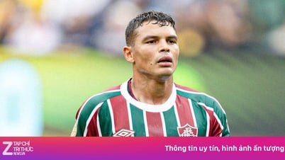 ប្រាក់ចំណូលរបស់ Thiago Silva បន្ទាប់ពីចាកចេញពី PSG