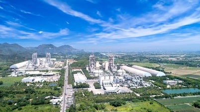 Компания Long Son Cement: от известнякового региона Бим Сон до международного присутствия
