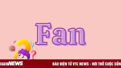 99% người hiểu sai từ 'Fan'