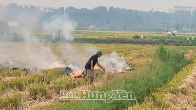 Little benefit, much harm from burning straw and stubble