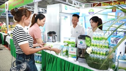 Promoting chain linkage in production and consumption of OCOP products