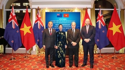 Kỷ niệm 50 năm thiết lập quan hệ ngoại giao Việt Nam-New Zealand