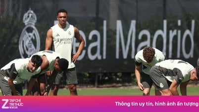 Trent Alexander-Arnold lại gây tranh cãi