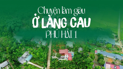 L'histoire de la richesse dans le village d'arec de Phu Hai 1