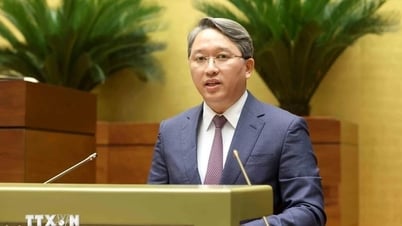 Các nghị định phân cấp, phân quyền có hiệu lực pháp luật đến ngày 1/3/2027