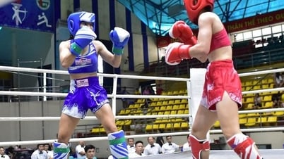 Campeonato Nacional de Kickboxing 2025: Oportunidad de competir en grandes torneos internacionales