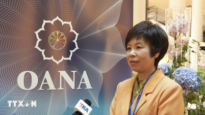 VNA ជាមួយនឹងសញ្ញាណរបស់ខ្លួននៅ OANA៖ សកម្ម ការទទួលខុសត្រូវ និងរួមបញ្ចូលយ៉ាងស៊ីជម្រៅ