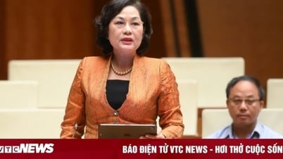 Thống đốc Nguyễn Thị Hồng: Cần thay đổi chiến lược hút vốn FDI