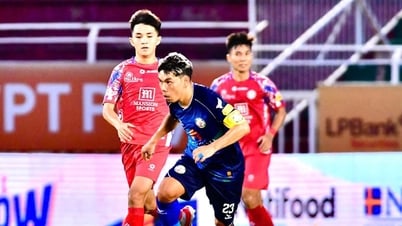 Đội xuống hạng V-League: CLB Bình Định rơi vào cảnh bất lực